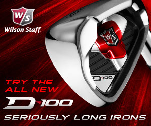 W/S D100