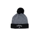 Tour Authentic Pom Beanie