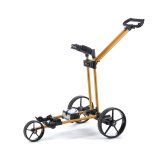 Golden Orange